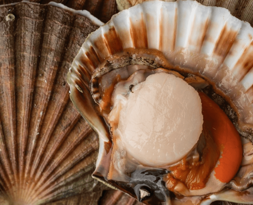 How to prepare for food photography